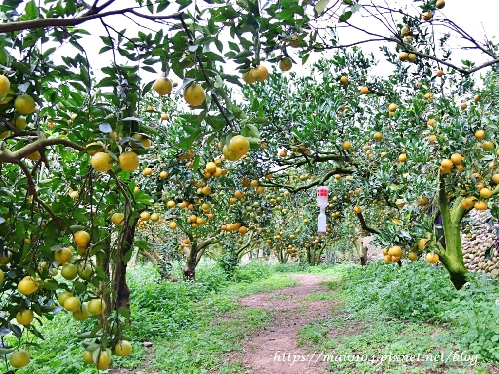 IMG_4253.JPG IMG_4253.JPG