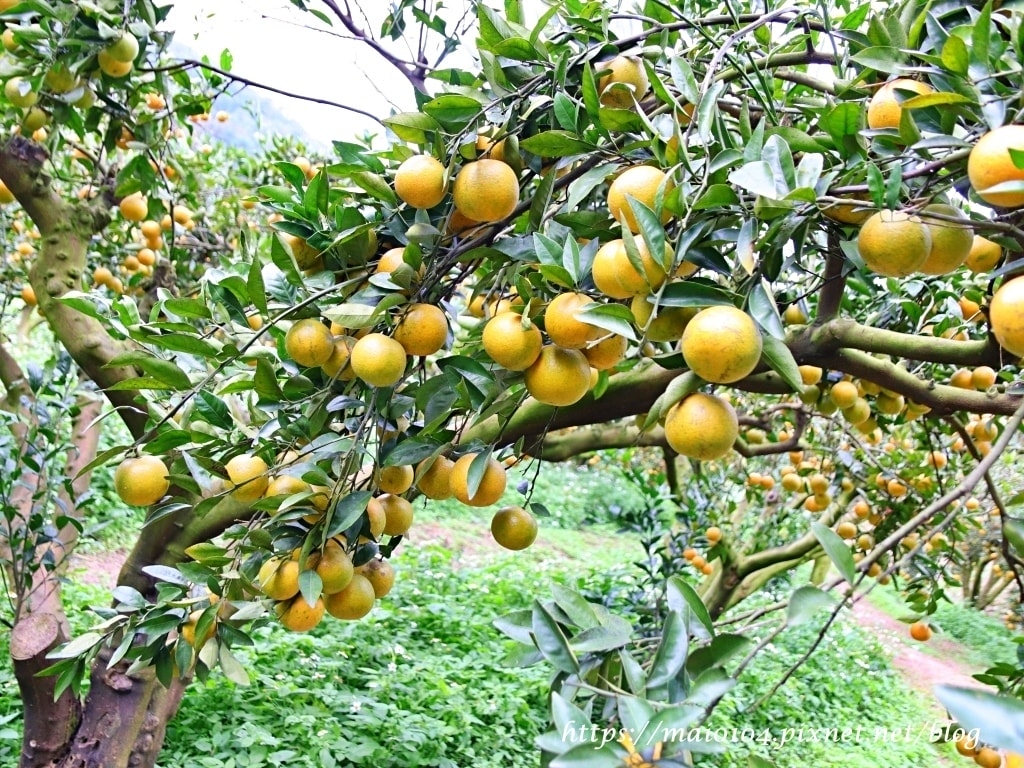 IMG_4254.JPG IMG_4254.JPG