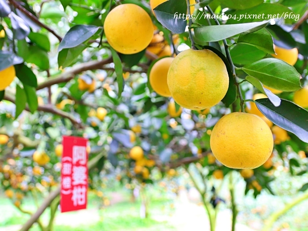 IMG_4257.JPG IMG_4257.JPG