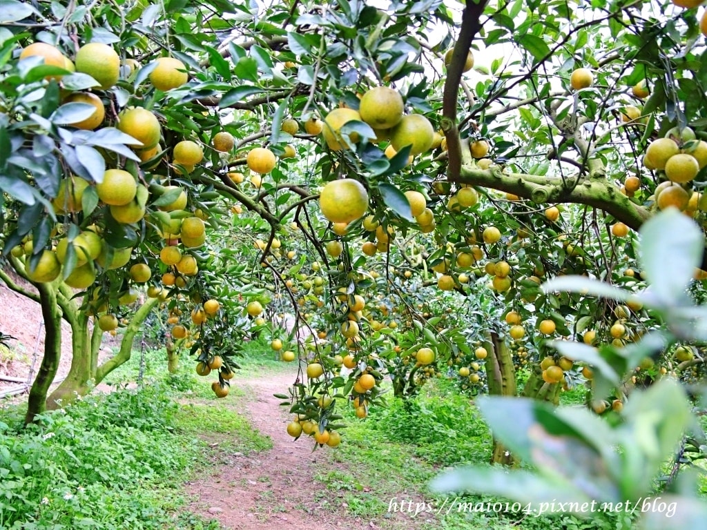 IMG_4255.JPG IMG_4255.JPG