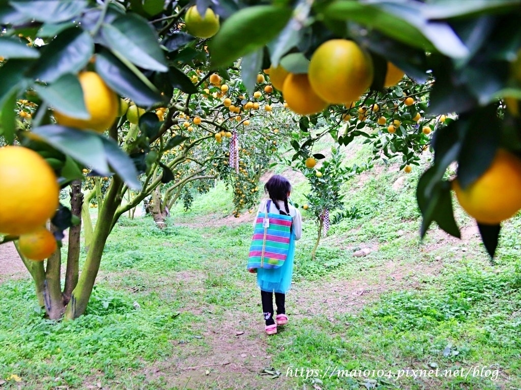 IMG_4259.JPG IMG_4259.JPG