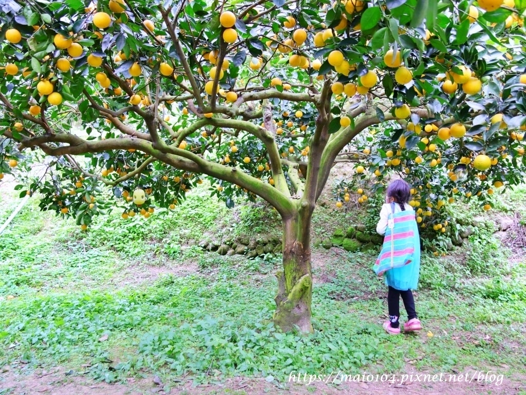 IMG_4258.JPG IMG_4258.JPG