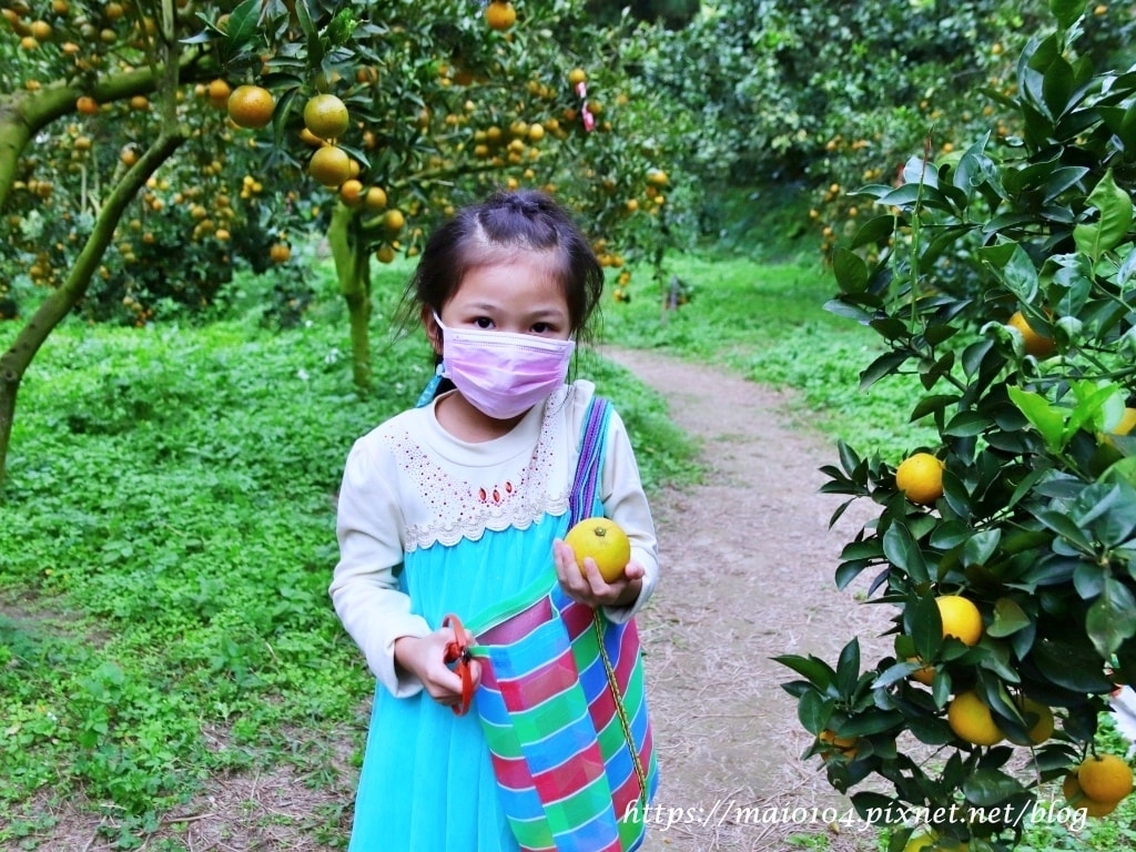 IMG_4262.JPG IMG_4262.JPG