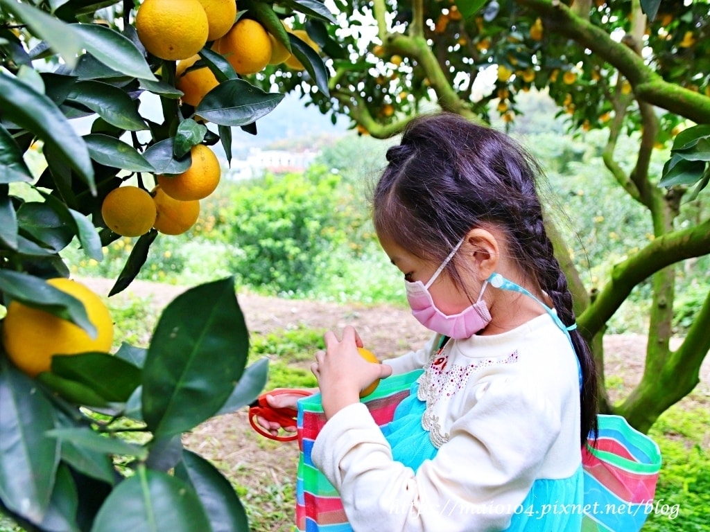 IMG_4264.JPG IMG_4264.JPG