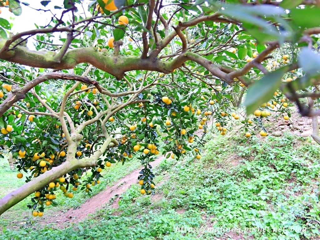 IMG_4267.JPG IMG_4267.JPG