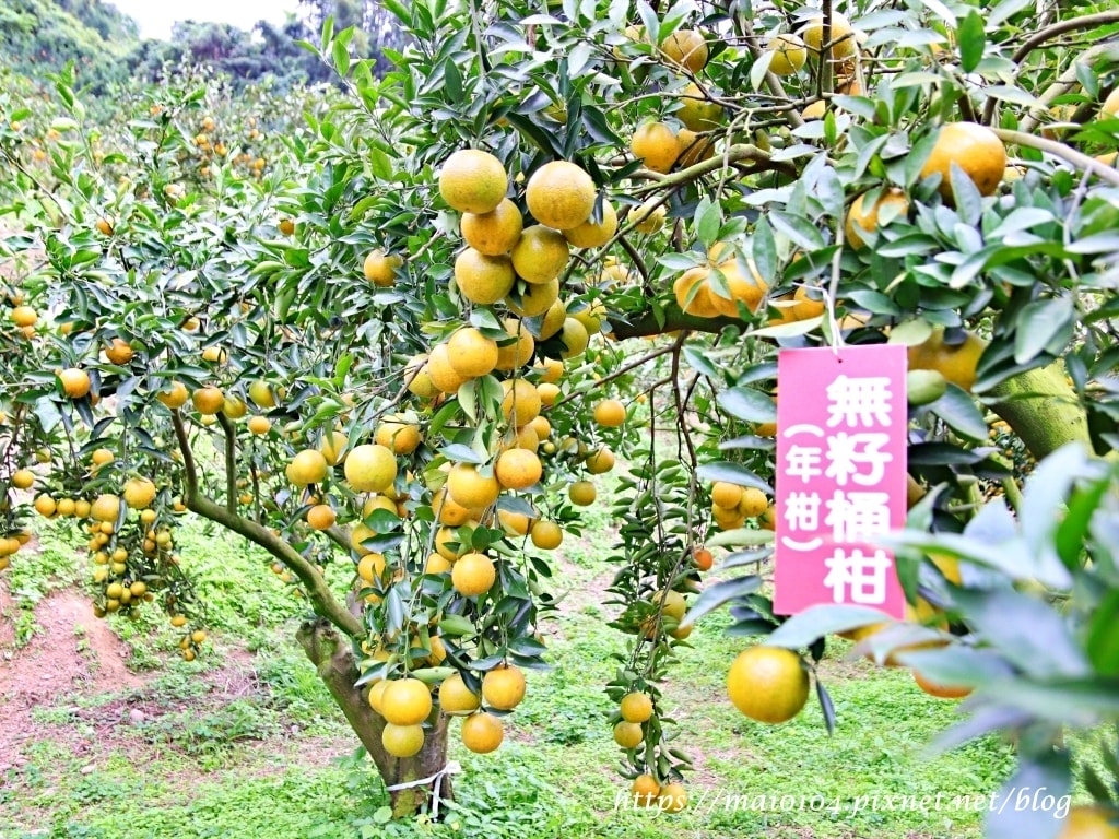 IMG_4265.JPG IMG_4265.JPG