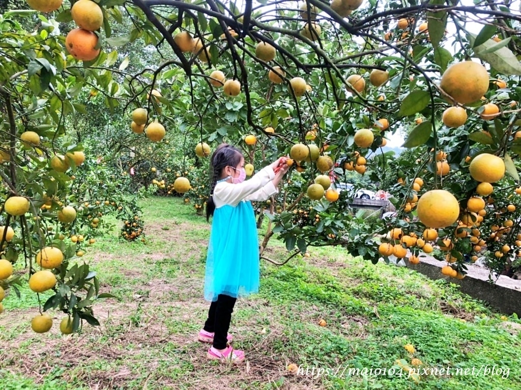 IMG_4251.jpg IMG_4251.jpg