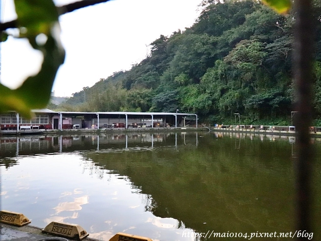 IMG_8504.JPG IMG_8504.JPG