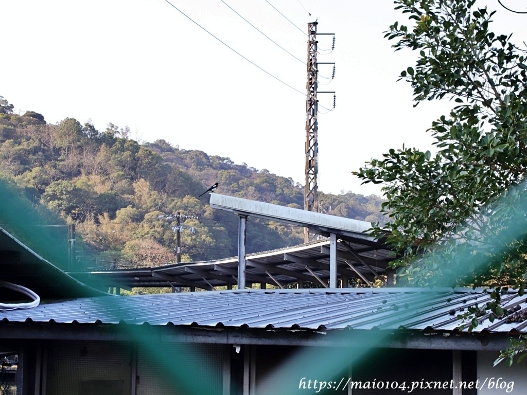 IMG_8519.JPG IMG_8519.JPG