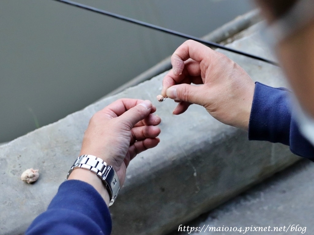 IMG_8521.JPG IMG_8521.JPG