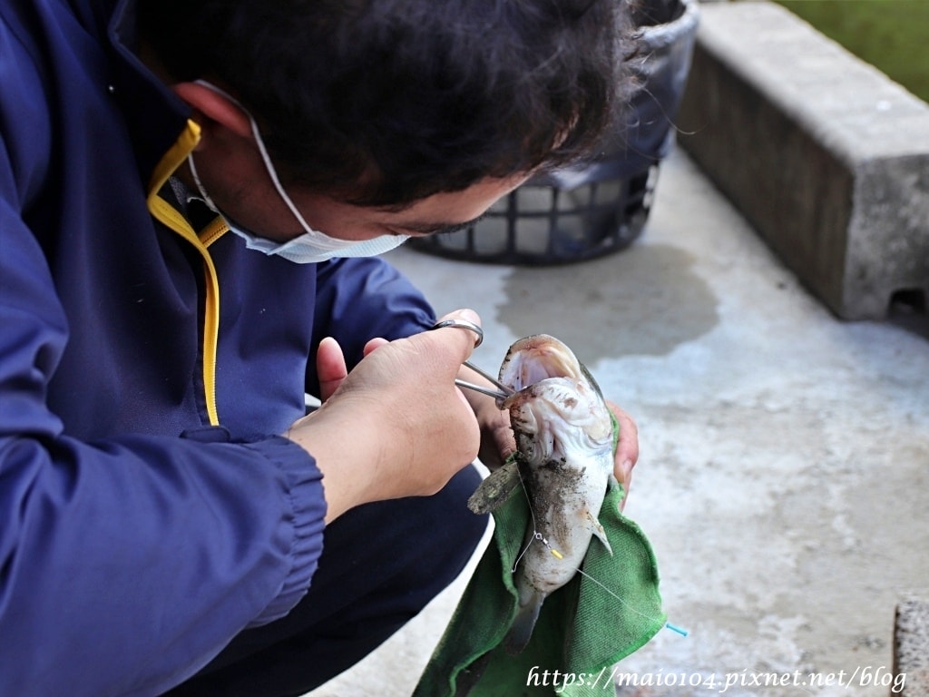 IMG_8526.JPG IMG_8526.JPG