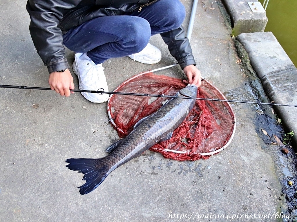 IMG_8527.JPG IMG_8527.JPG