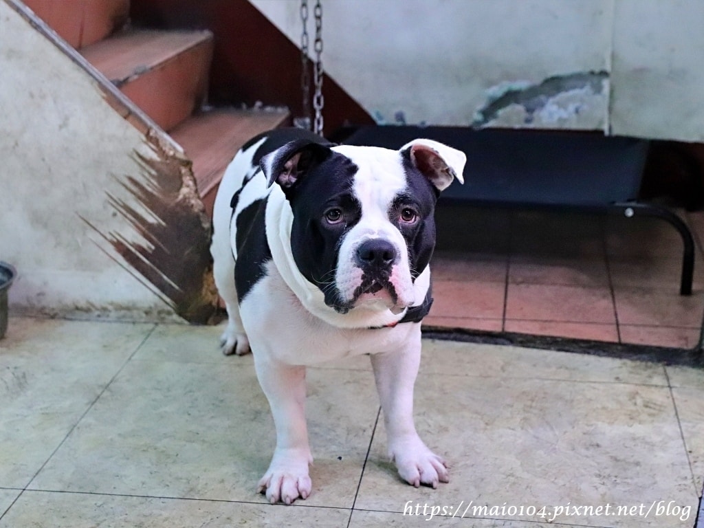 IMG_4946.JPG IMG_4946.JPG