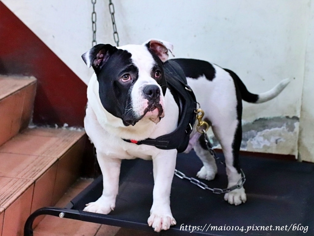 IMG_4947.JPG IMG_4947.JPG