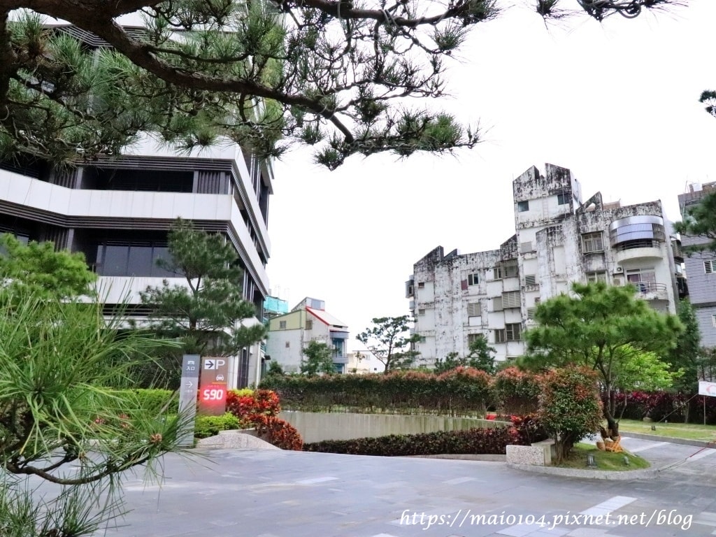 IMG_3552.JPG IMG_3552.JPG