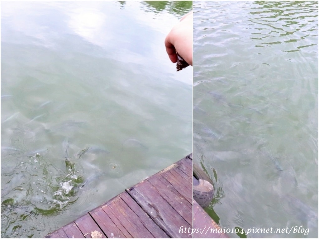 IMG_4169.jpg IMG_4169.jpg