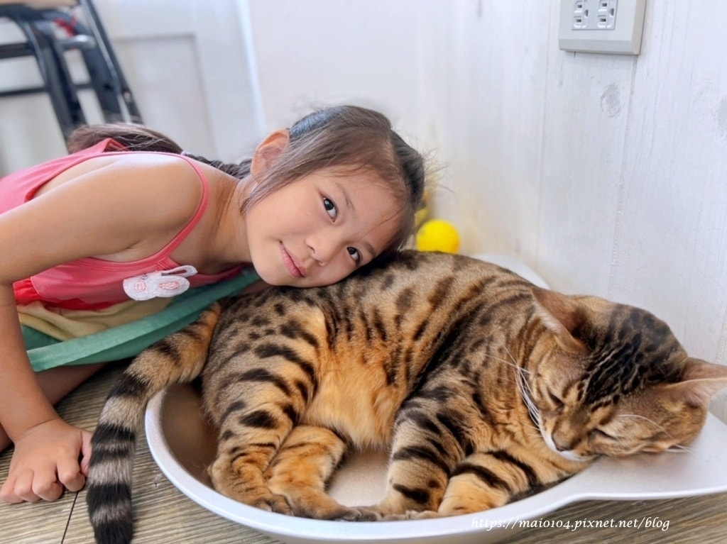 IMG_2600.jpg IMG_2600.jpg