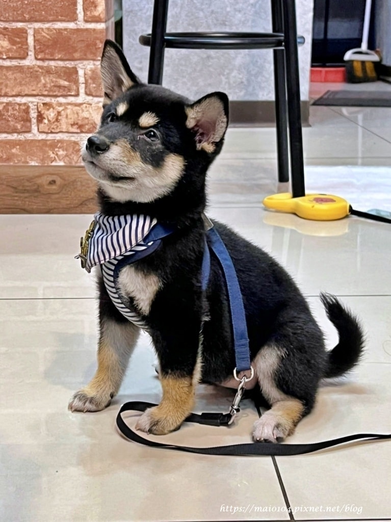 IMG_5851.jpg IMG_5851.jpg