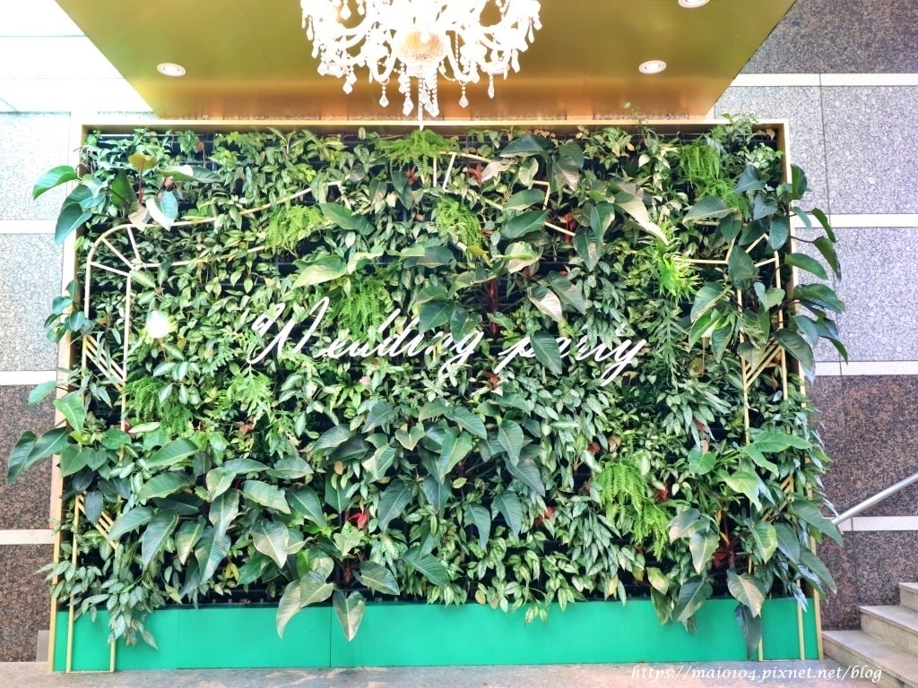 IMG_1913.JPG IMG_1913.JPG