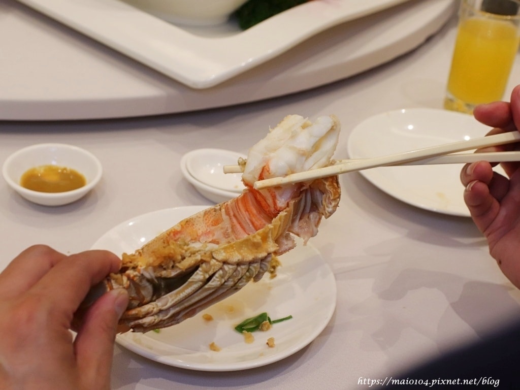 IMG_1961.JPG IMG_1961.JPG