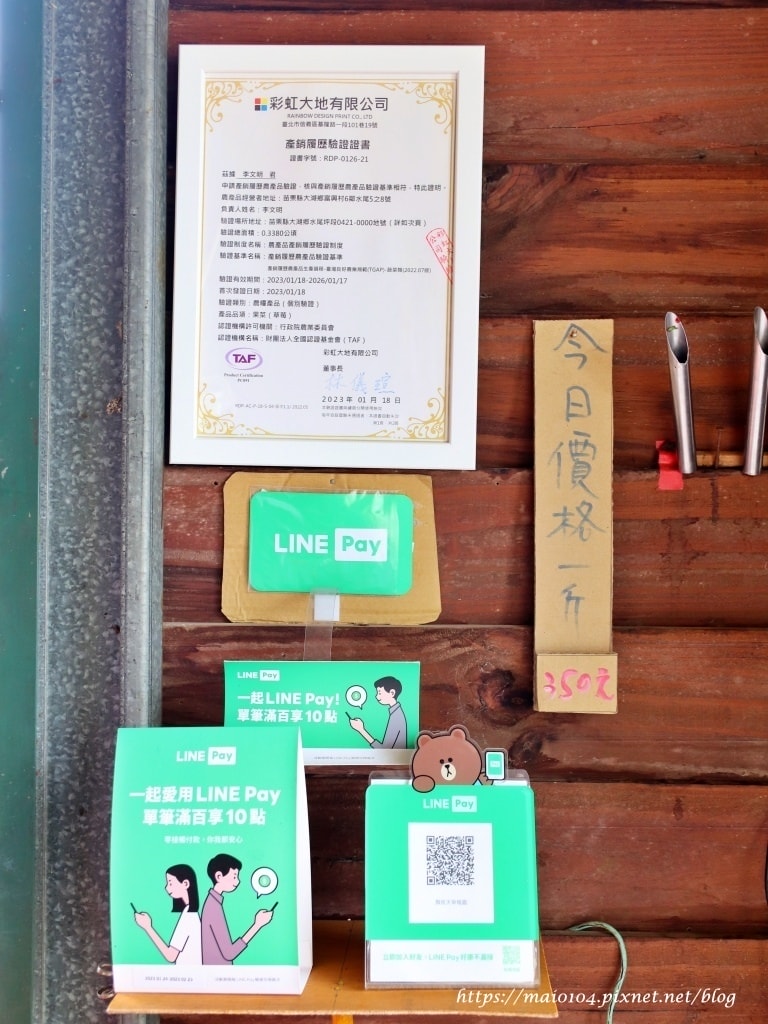 苗栗大湖草莓園推薦｜舞夜天草莓園～免門票、價格親民的高架草莓