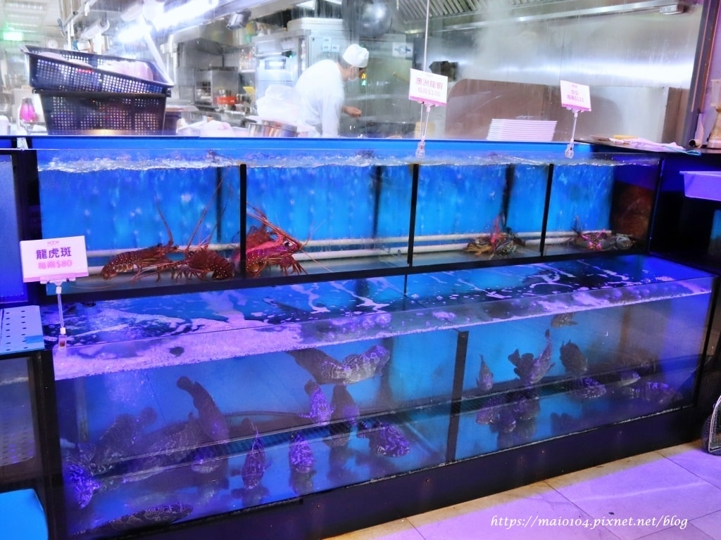 IMG_4616.JPG IMG_4616.JPG