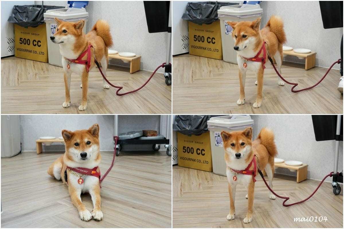 桃園中原大學早午餐|6:35 Brunch&Dinner 中 桃園中原大學早午餐|6:35 Brunch&Dinner 中