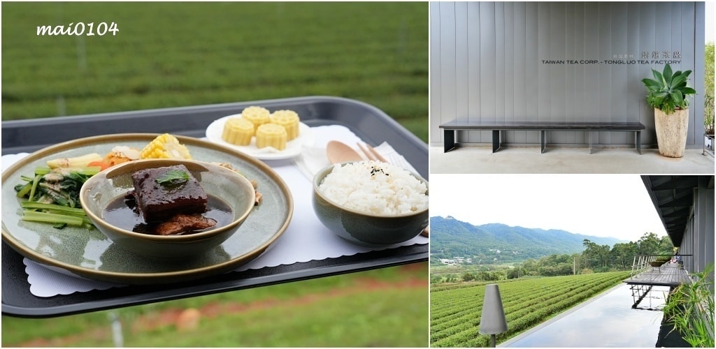 苗栗景點|苗栗銅鑼茶廠~不用跑到高山上也能享受茶園靜謐之美,