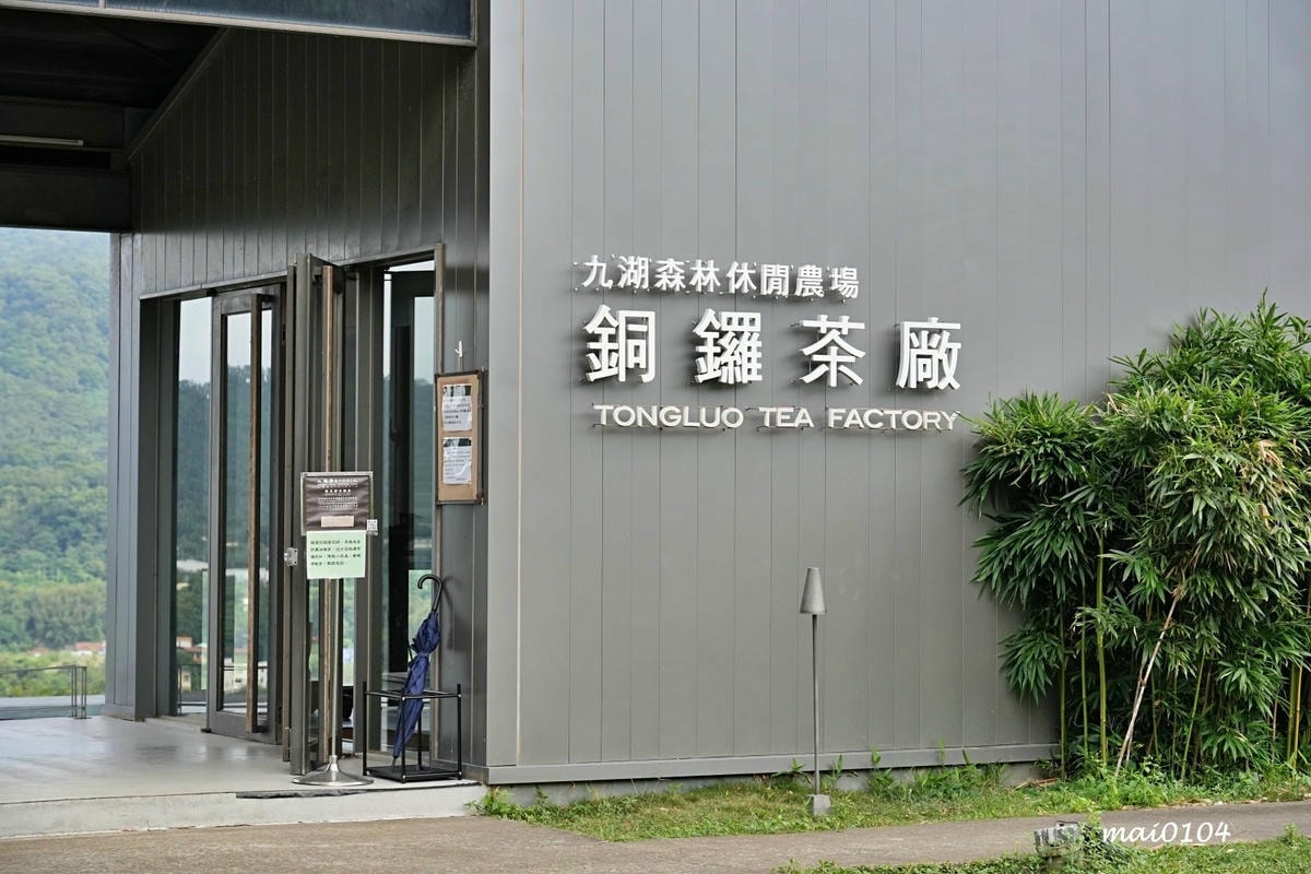 苗栗景點｜苗栗銅鑼茶廠～不用跑到高山上也能享受茶園靜謐之美，