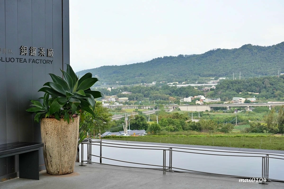 苗栗景點｜苗栗銅鑼茶廠～不用跑到高山上也能享受茶園靜謐之美，