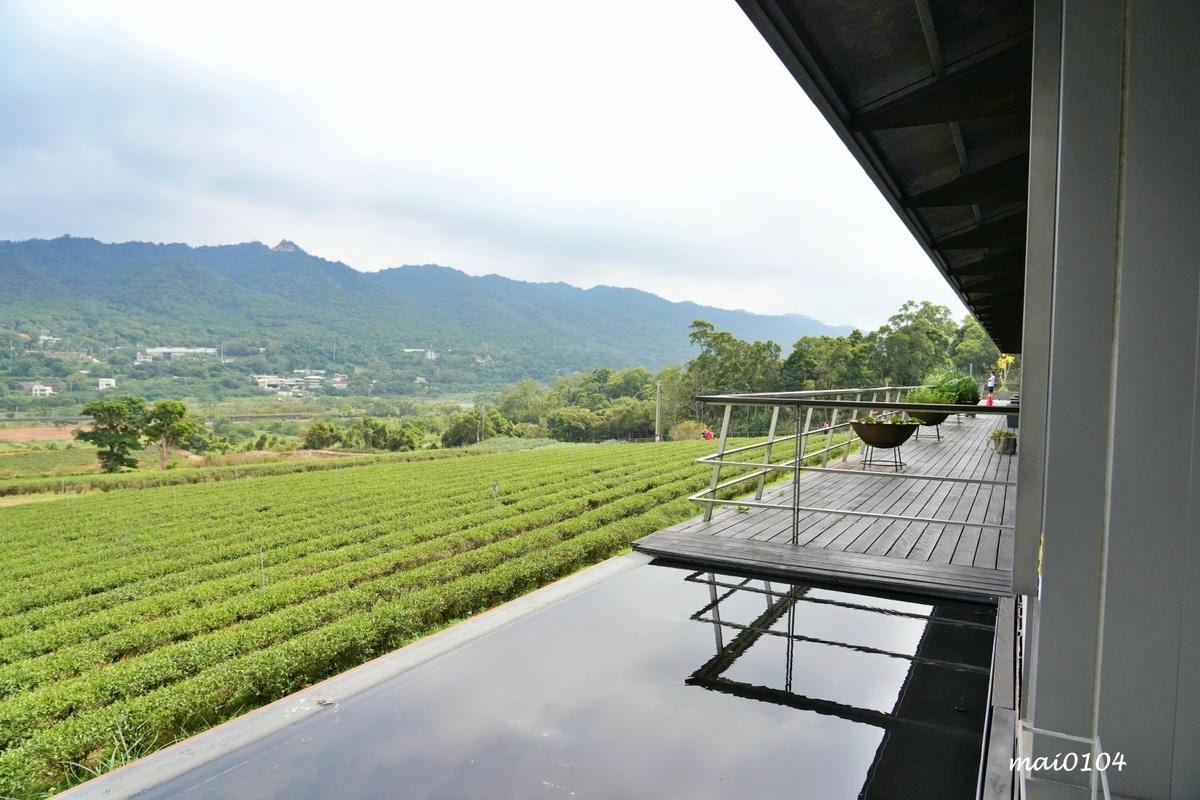 苗栗景點｜苗栗銅鑼茶廠～不用跑到高山上也能享受茶園靜謐之美，
