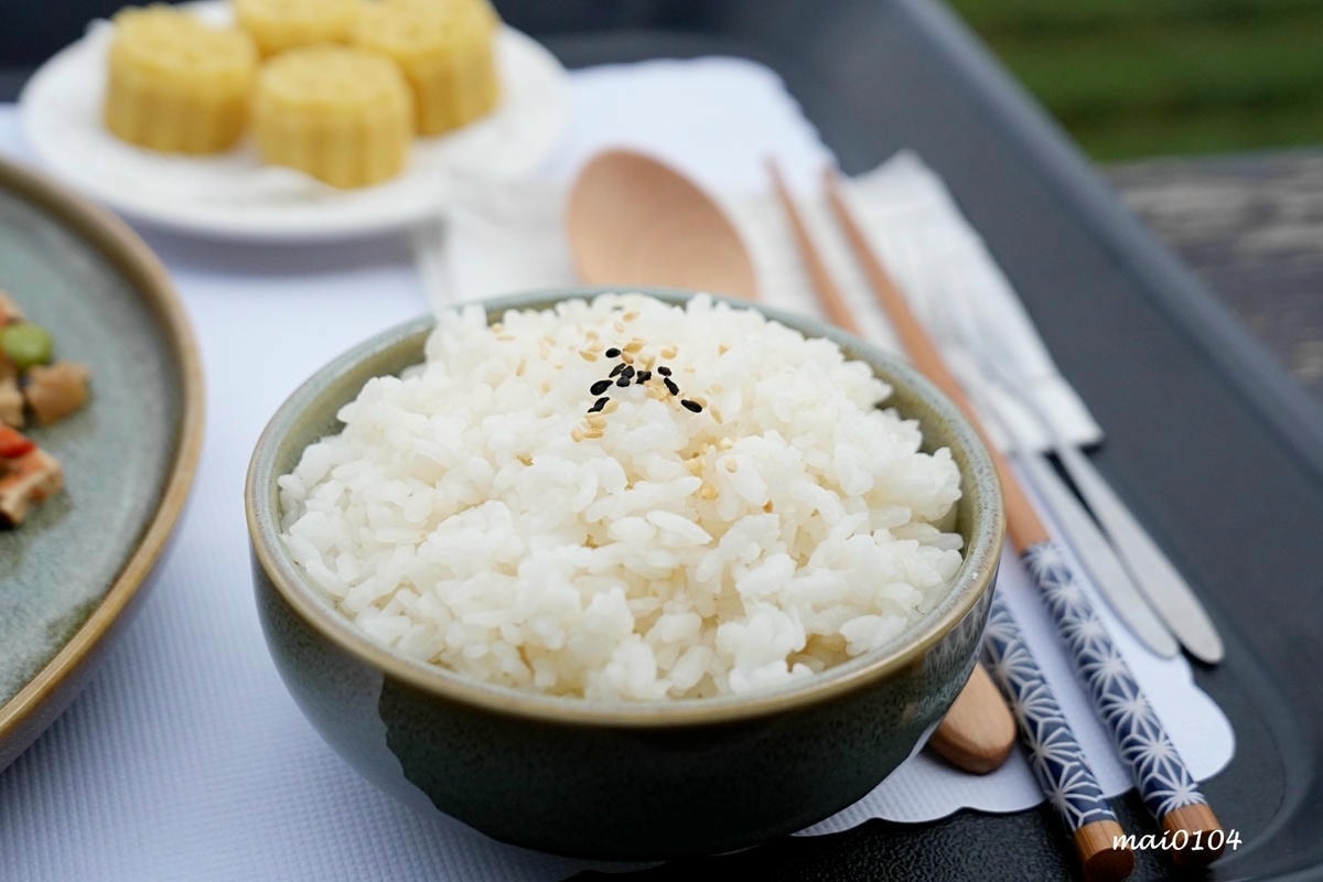 苗栗景點｜苗栗銅鑼茶廠～不用跑到高山上也能享受茶園靜謐之美，