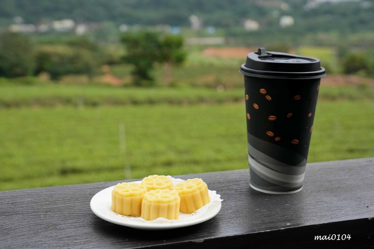苗栗景點｜苗栗銅鑼茶廠～不用跑到高山上也能享受茶園靜謐之美，