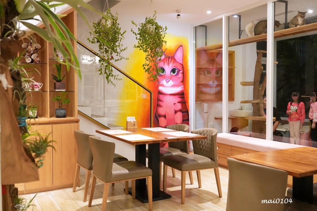 桃園龍潭景觀餐廳|野薑花與貓~野薑花入菜還可以與貓咪近距離接 桃園龍潭景觀餐廳|野薑花與貓~野薑花入菜還可以與貓咪近距離接