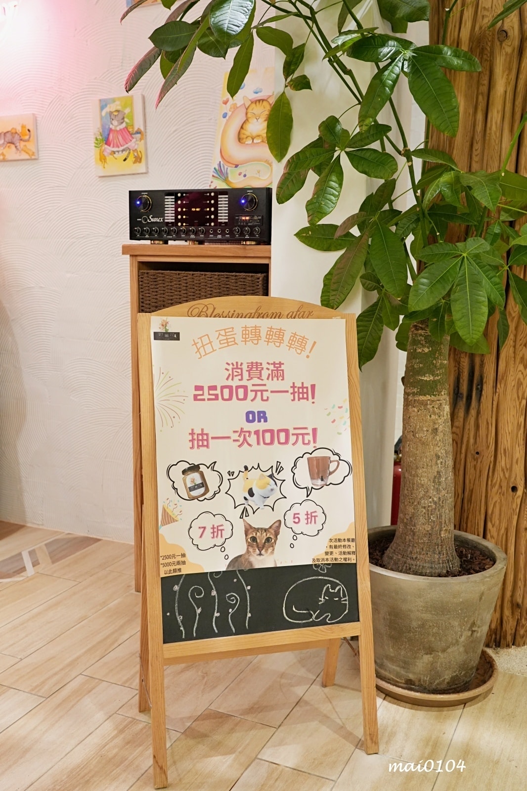 桃園龍潭景觀餐廳|野薑花與貓~野薑花入菜還可以與貓咪近距離接 桃園龍潭景觀餐廳|野薑花與貓~野薑花入菜還可以與貓咪近距離接