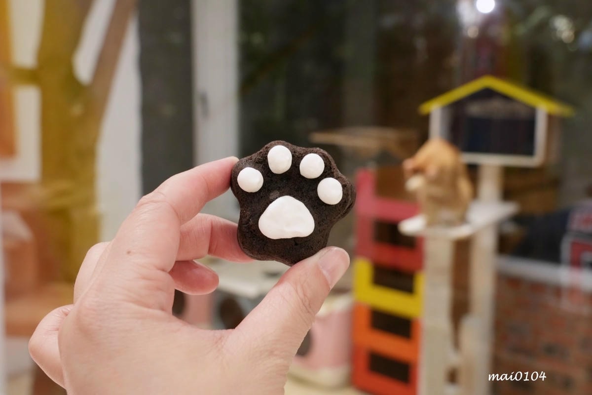 桃園龍潭景觀餐廳|野薑花與貓~野薑花入菜還可以與貓咪近距離接 桃園龍潭景觀餐廳|野薑花與貓~野薑花入菜還可以與貓咪近距離接