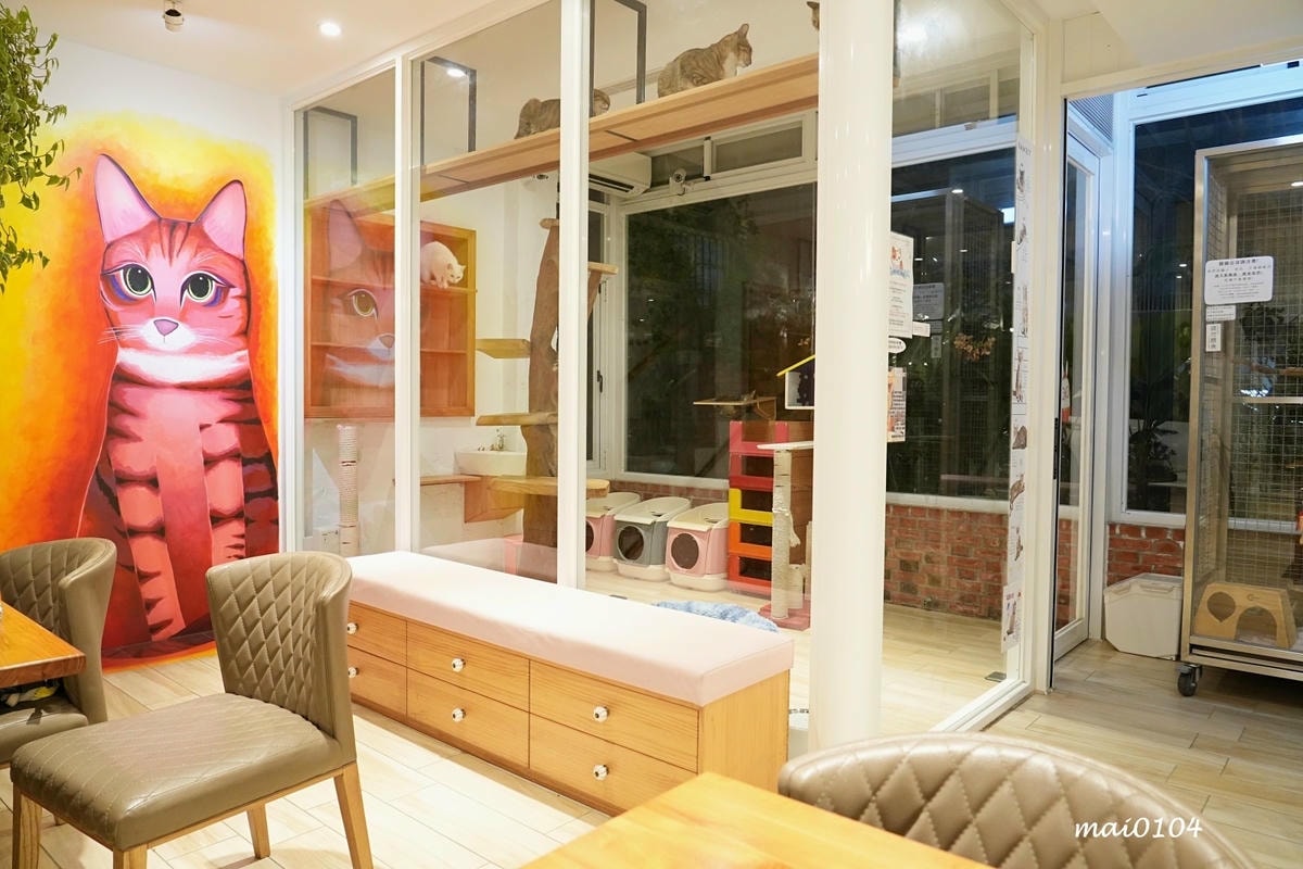 桃園龍潭景觀餐廳|野薑花與貓~野薑花入菜還可以與貓咪近距離接 桃園龍潭景觀餐廳|野薑花與貓~野薑花入菜還可以與貓咪近距離接