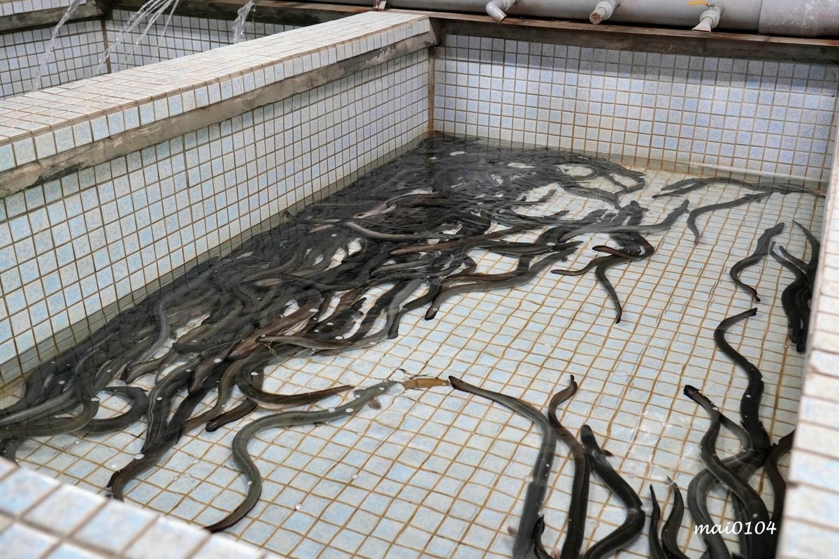 竹圍漁港美食|鰻天下~超浮誇的30CM鰻魚飯你吃過嗎?另外還 竹圍漁港美食|鰻天下~超浮誇的30CM鰻魚飯你吃過嗎?另外還