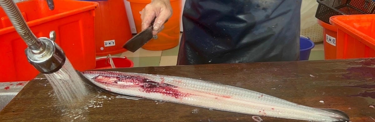 竹圍漁港美食|鰻天下~超浮誇的30CM鰻魚飯你吃過嗎?另外還 竹圍漁港美食|鰻天下~超浮誇的30CM鰻魚飯你吃過嗎?另外還