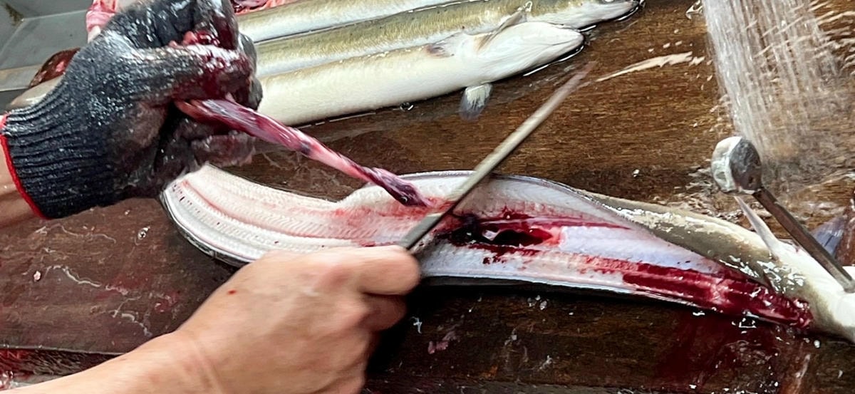 竹圍漁港美食|鰻天下~超浮誇的30CM鰻魚飯你吃過嗎?另外還 竹圍漁港美食|鰻天下~超浮誇的30CM鰻魚飯你吃過嗎?另外還