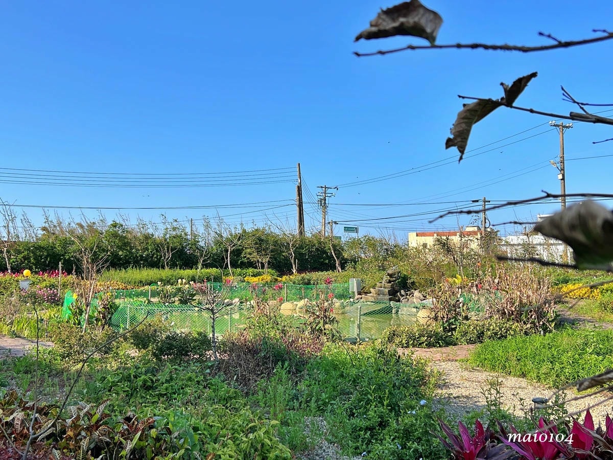 桃園新屋|忻林咖啡~隱身在鄉村田園中的咖啡廳,大片草地、花園 桃園新屋|忻林咖啡~隱身在鄉村田園中的咖啡廳,大片草地、花園