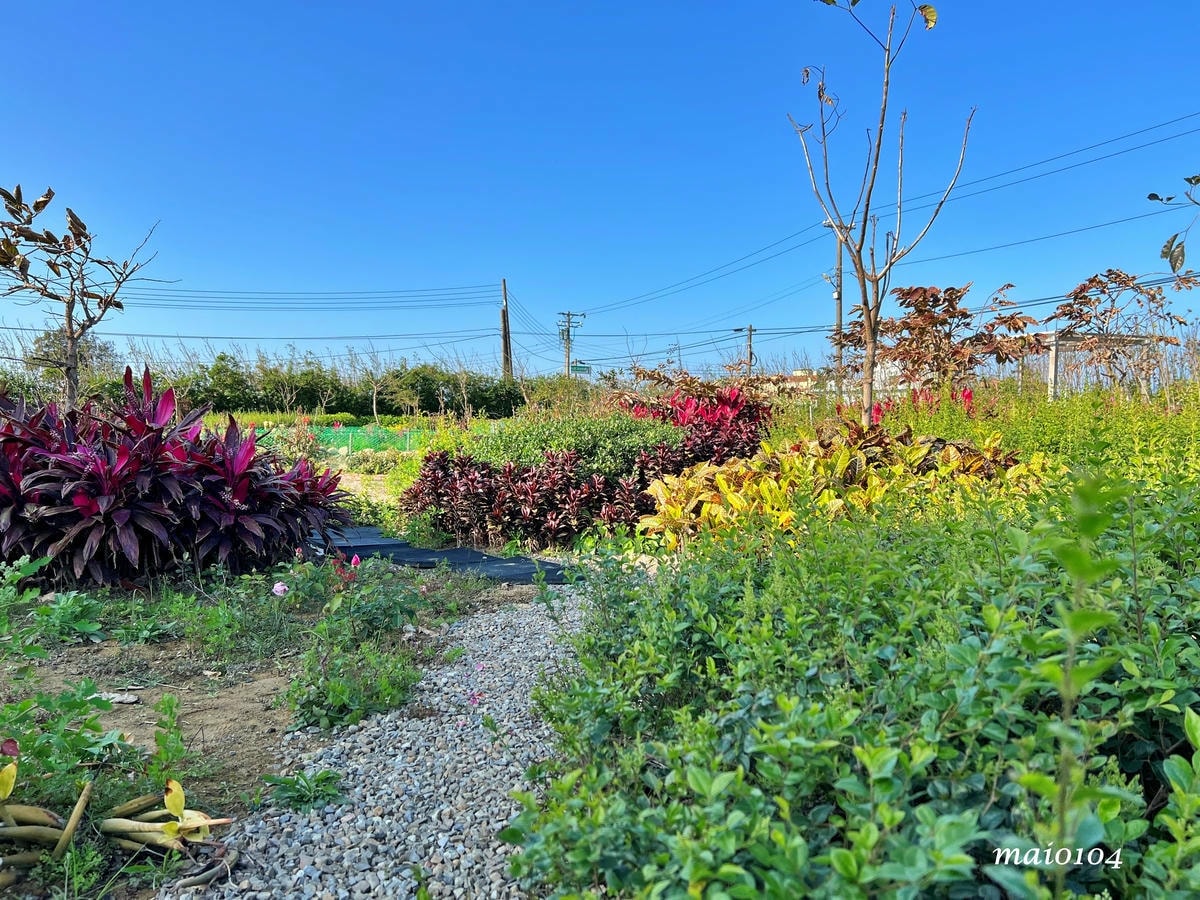 桃園新屋|忻林咖啡~隱身在鄉村田園中的咖啡廳,大片草地、花園 桃園新屋|忻林咖啡~隱身在鄉村田園中的咖啡廳,大片草地、花園
