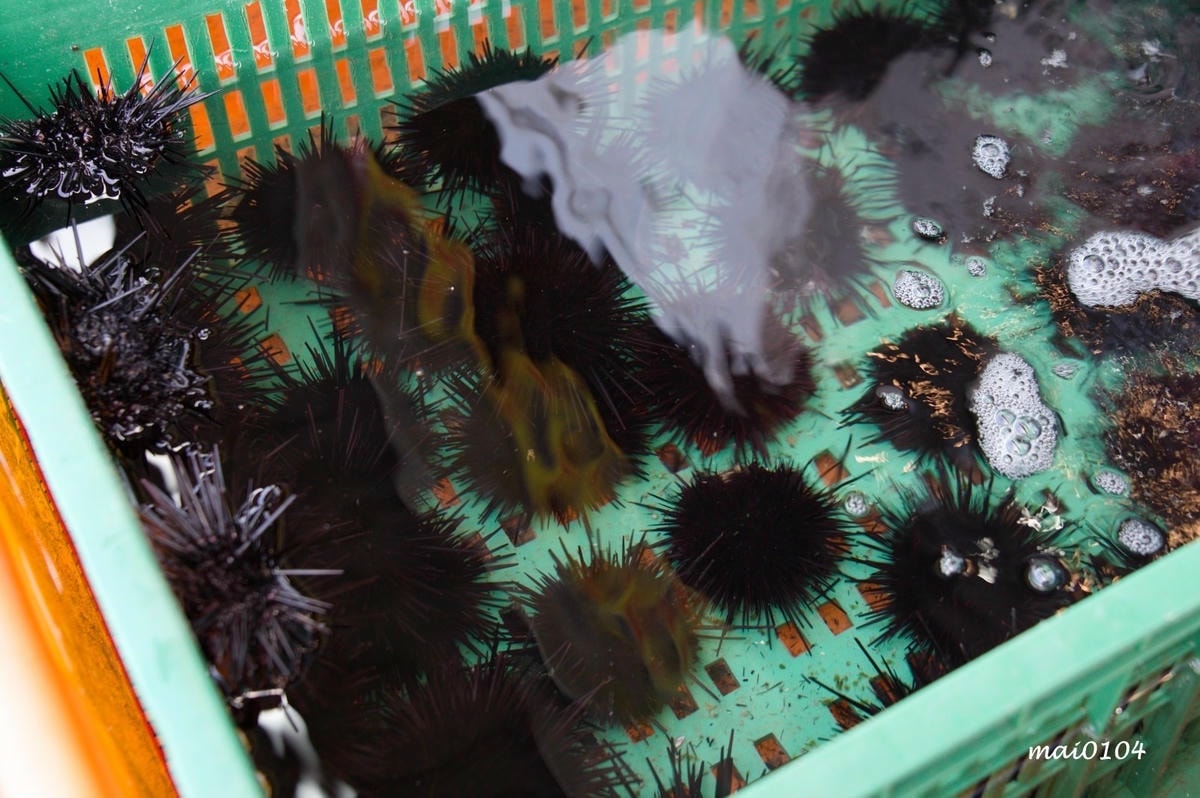 野柳風景區美食餐廳推薦｜阿杰萬里蟹～連在地人都大推的海鮮餐廳