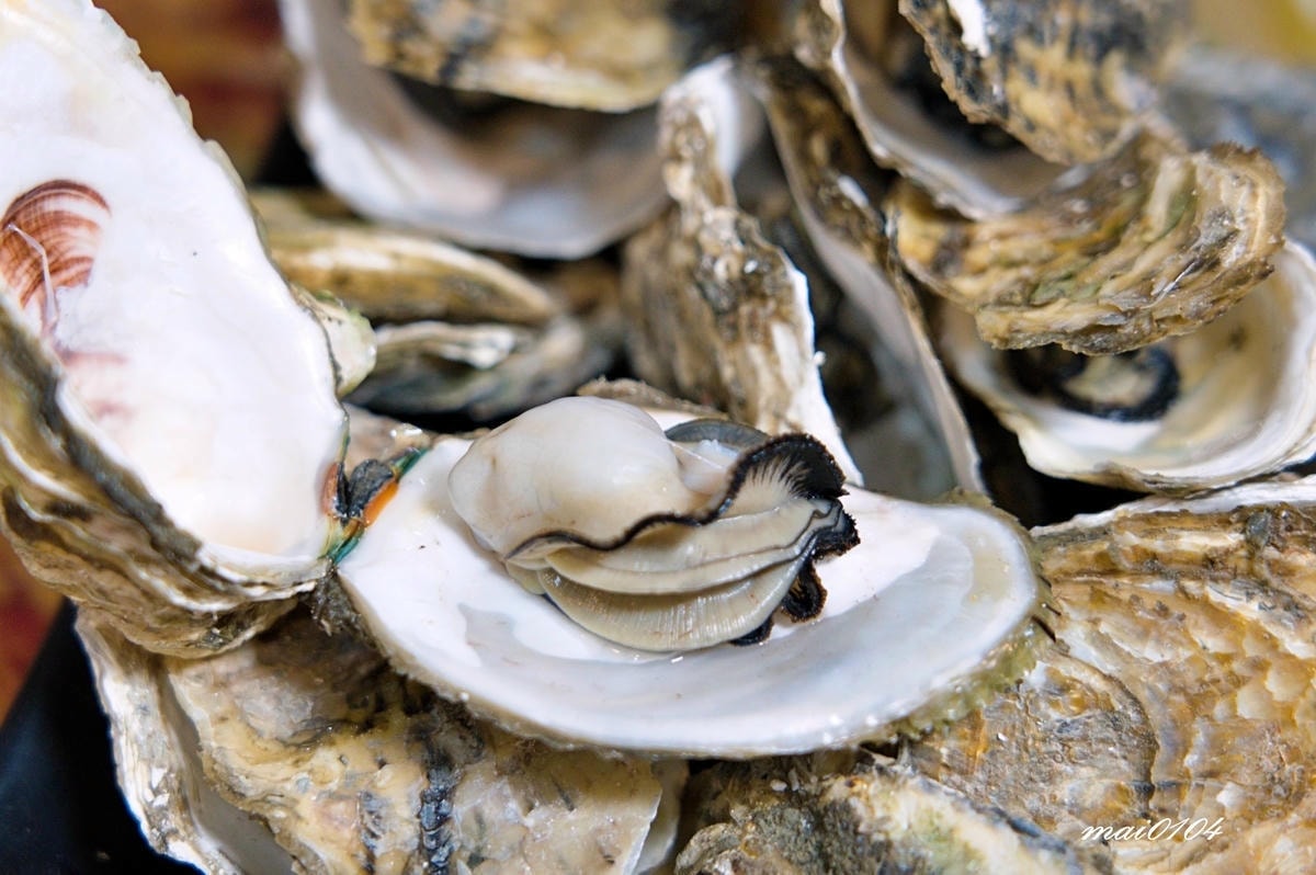 桃園美食｜花現烤物胡椒魚桃園中正店～平價美味又新鮮的魚蝦料理