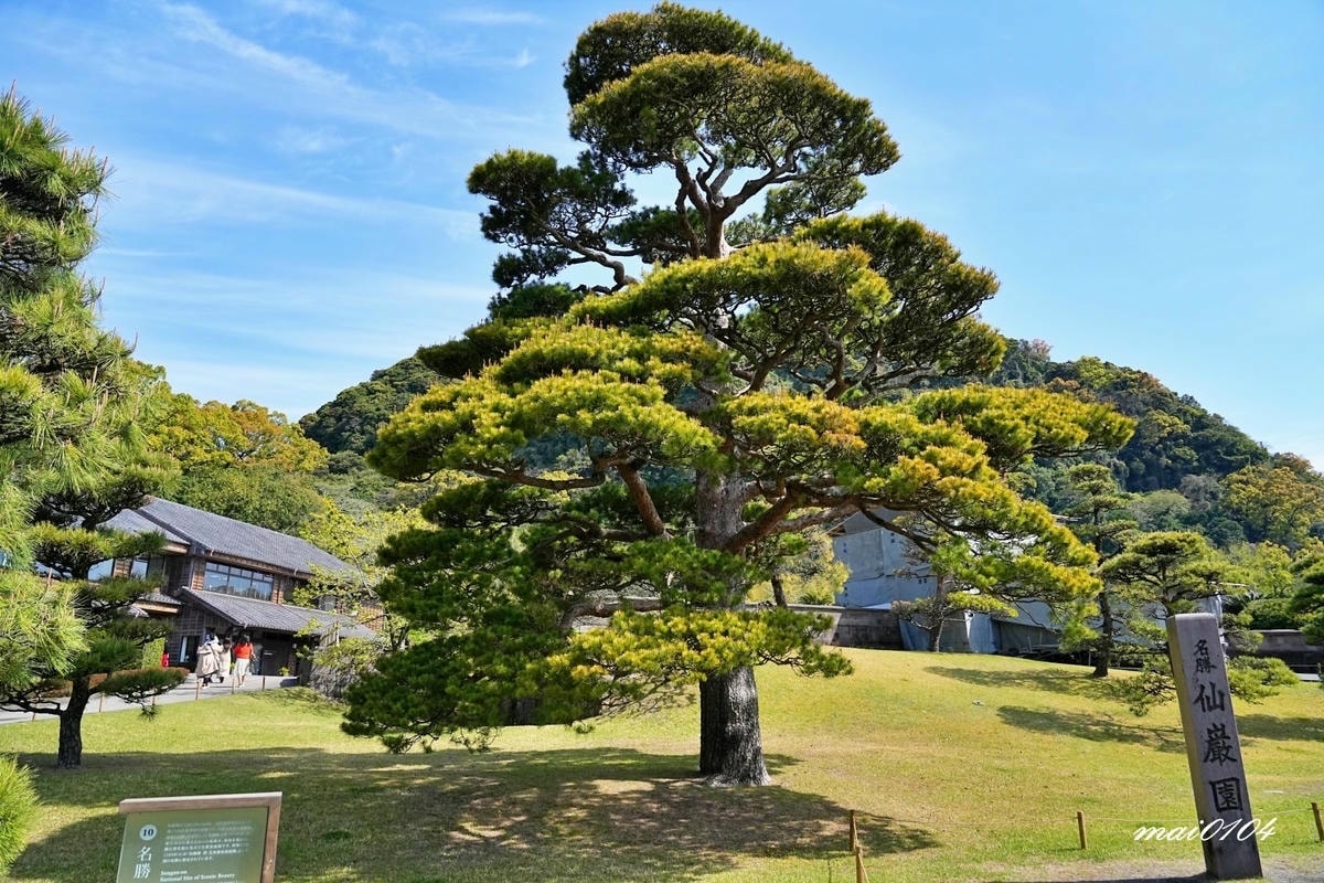 麗星郵輪探索星號六天五夜櫻花限定團!停靠日本鹿兒島、熊本、那 麗星郵輪探索星號六天五夜櫻花限定團!停靠日本鹿兒島、熊本、那