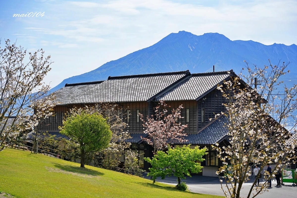 麗星郵輪探索星號六天五夜櫻花限定團!停靠日本鹿兒島、熊本、那 麗星郵輪探索星號六天五夜櫻花限定團!停靠日本鹿兒島、熊本、那