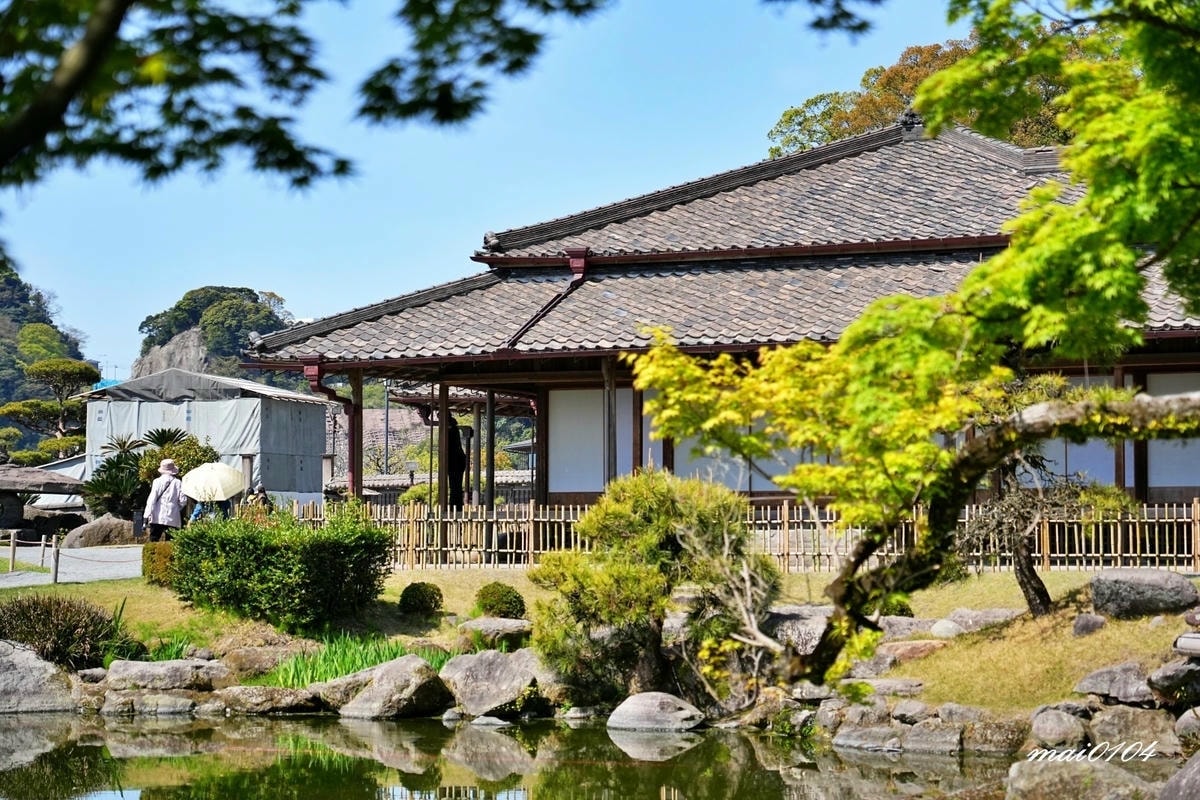 麗星郵輪探索星號六天五夜櫻花限定團!停靠日本鹿兒島、熊本、那 麗星郵輪探索星號六天五夜櫻花限定團!停靠日本鹿兒島、熊本、那