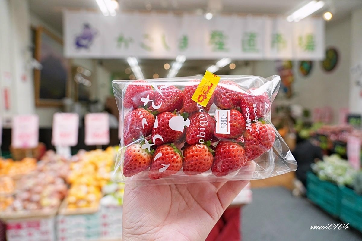 麗星郵輪探索星號六天五夜櫻花限定團!停靠日本鹿兒島、熊本、那 麗星郵輪探索星號六天五夜櫻花限定團!停靠日本鹿兒島、熊本、那