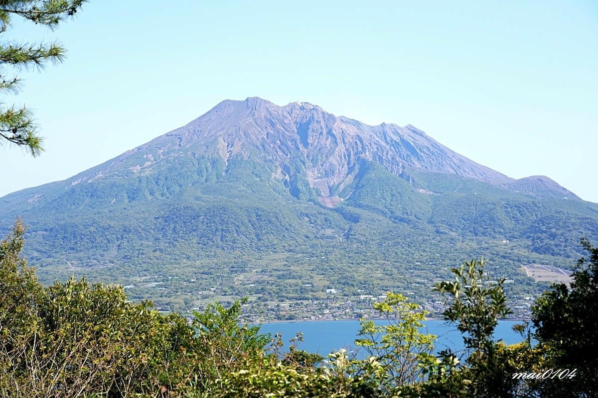 麗星郵輪探索星號六天五夜櫻花限定團!停靠日本鹿兒島、熊本、那 麗星郵輪探索星號六天五夜櫻花限定團!停靠日本鹿兒島、熊本、那