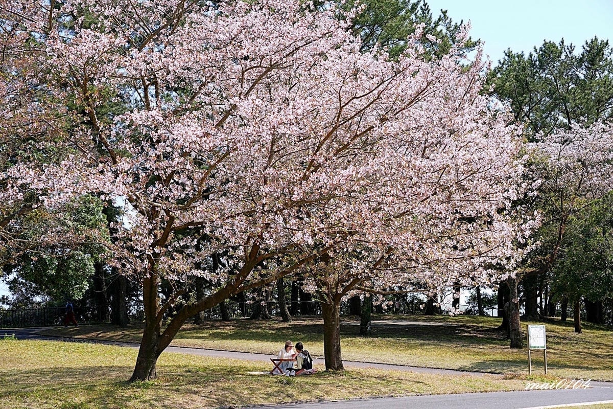 麗星郵輪探索星號六天五夜櫻花限定團!停靠日本鹿兒島、熊本、那 麗星郵輪探索星號六天五夜櫻花限定團!停靠日本鹿兒島、熊本、那